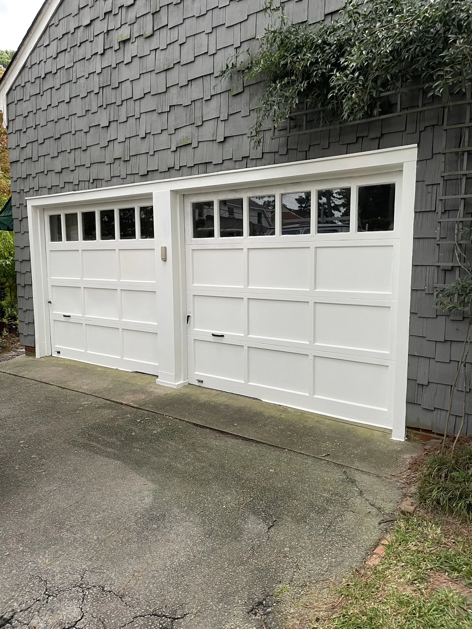 Garage door after Caspian Painting